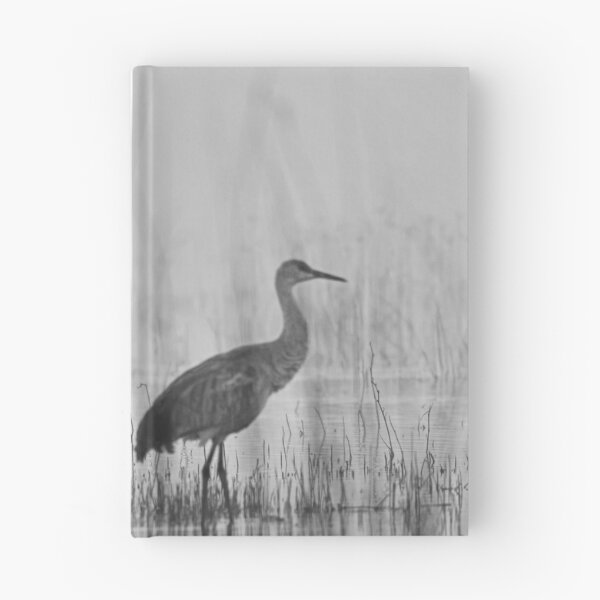 Item preview, Sandhill cranes in a Mist designed and sold by Puttaswamy Ravishankar.