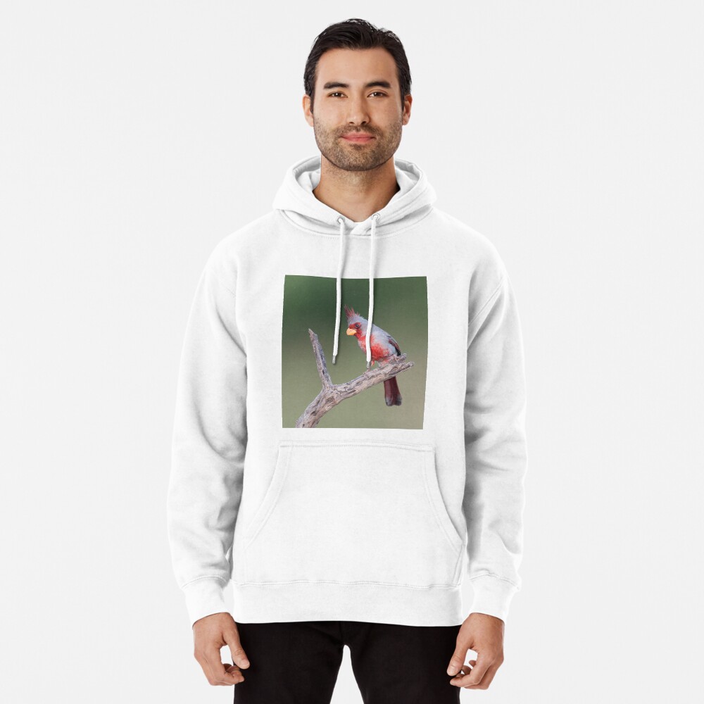 Item preview, Pullover Hoodie designed and sold by rshankar8080.