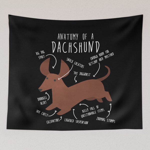Item preview, Red Dachshund Dog Anatomy designed and sold by Clara Hollins.