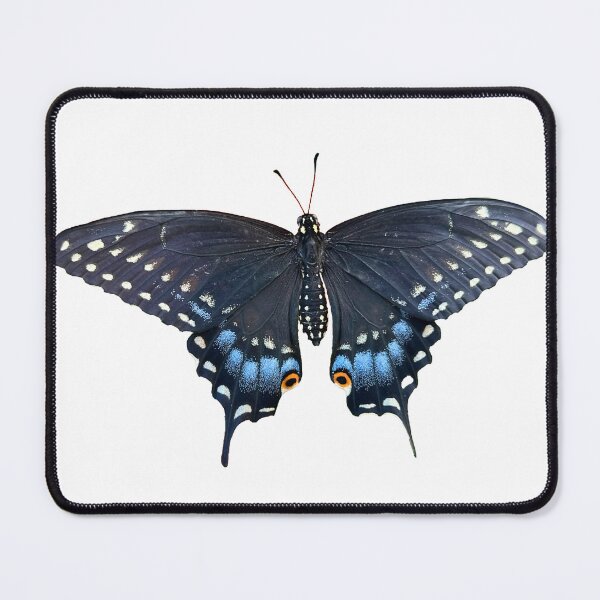 Item preview, Eastern Black Swallowtail Butterfly designed and sold by thehowlingdingo.