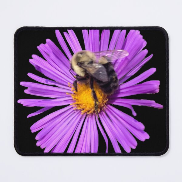 Item preview, Bee on an Aster designed and sold by homesteadswag.