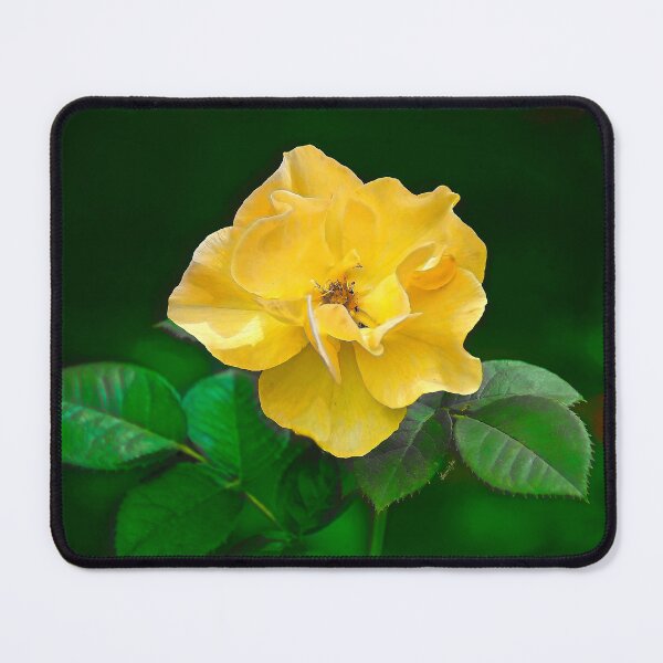 Item preview, The Yellow Rose designed and sold by Lawrence White.