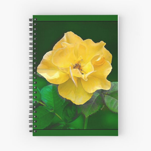Item preview, The Yellow Rose designed and sold by Lawrence White.