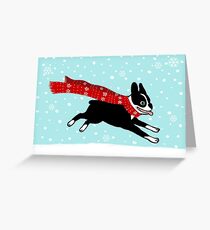 Holiday Boston Terrier Wearing Winter Scarf Greeting Card