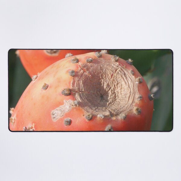 Item preview, Prickly Pear Cactus Fruit - Indian Fig Close Up designed and sold by taiche.