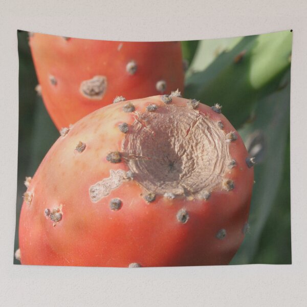 Item preview, Prickly Pear Cactus Fruit - Indian Fig Close Up designed and sold by taiche.