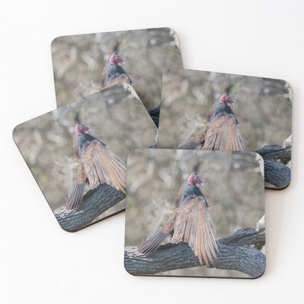 Item preview, Turkey vulture designed and sold by Puttaswamy Ravishankar.