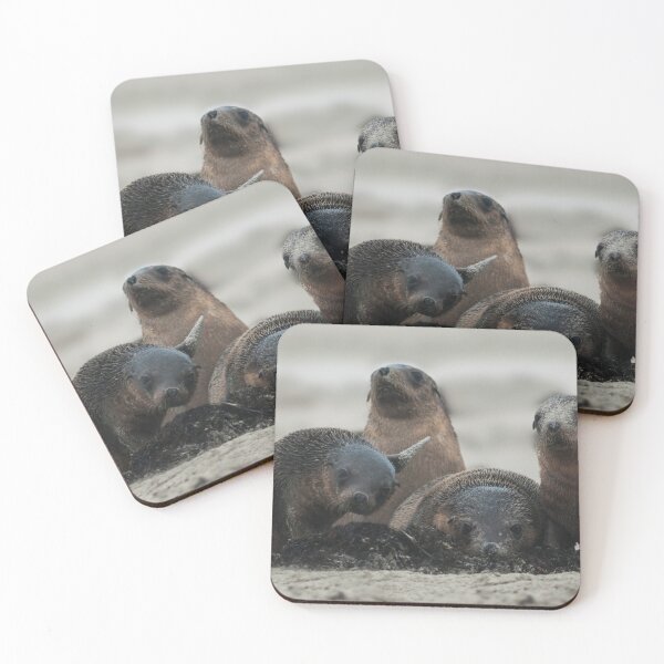 Item preview, Say Cheese Everybody designed and sold by Puttaswamy Ravishankar.
