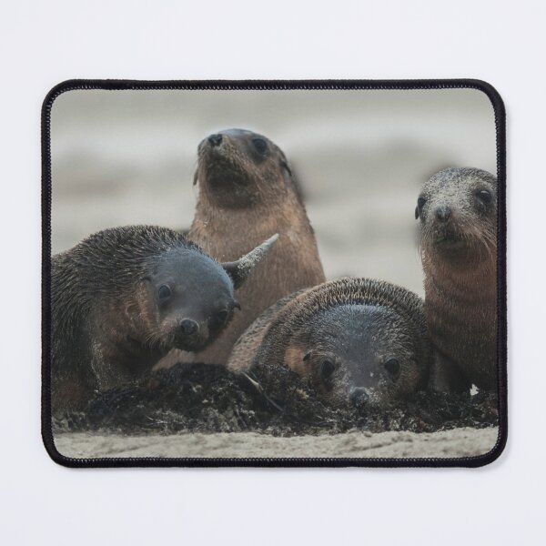 Item preview, Say Cheese Everybody designed and sold by Puttaswamy Ravishankar.