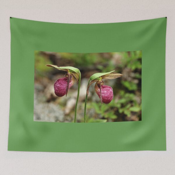 Item preview, Pink Lady Slipper Orchids designed and sold by Debbie Oppermann.