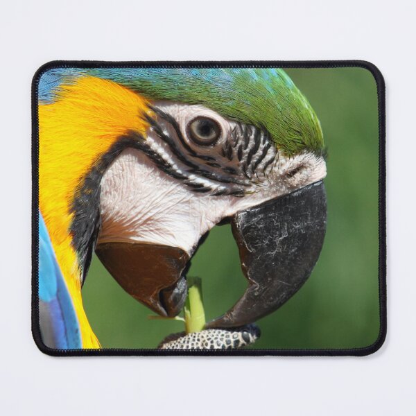Item preview, Blue and Yellow Macaw designed and sold by Jo Nijenhuis.