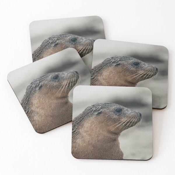 Item preview, Seal pup designed and sold by Puttaswamy Ravishankar.