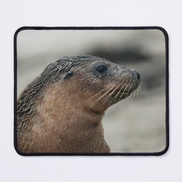 Item preview, Seal pup designed and sold by Puttaswamy Ravishankar.