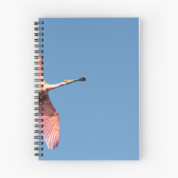 Item preview, Spoonbill designed and sold by Puttaswamy Ravishankar.