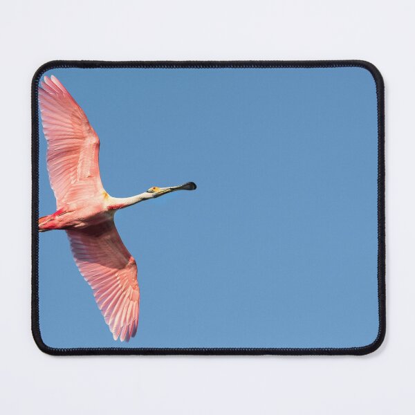 Item preview, Spoonbill designed and sold by Puttaswamy Ravishankar.