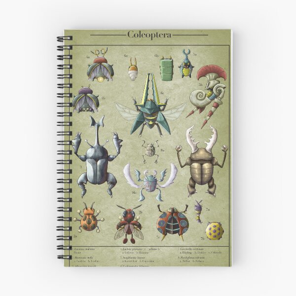 Item preview, Coleoptera Biological Illustration designed and sold by Daniel Swain Creations.