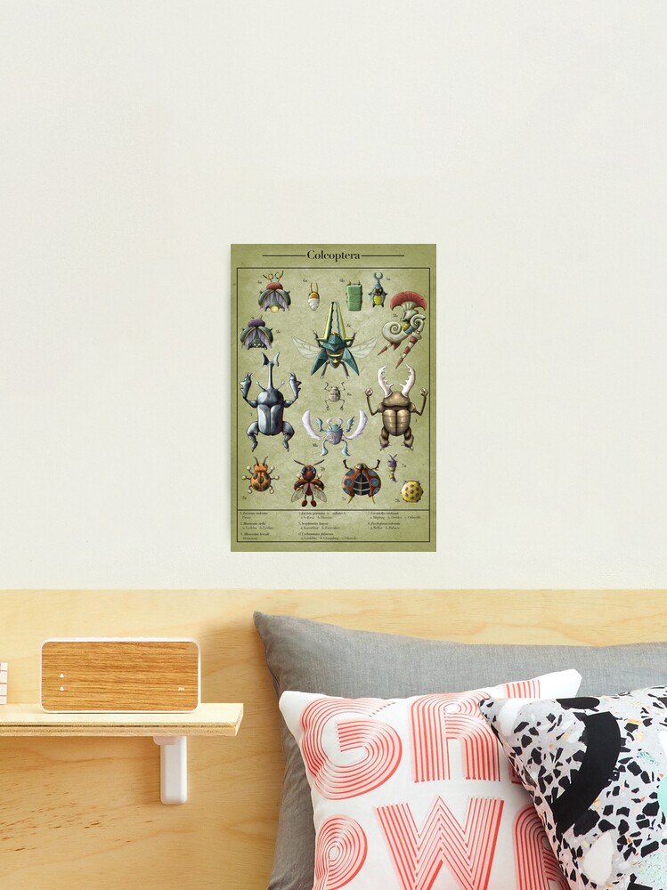 Thumbnail 1 of 3, Photographic Print, Coleoptera Biological Illustration designed and sold by Swainathan.