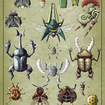 Artwork thumbnail, Coleoptera Biological Illustration by Daniel Swain Creations