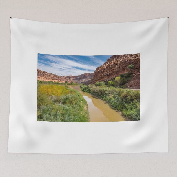 Item preview, Arches National Park designed and sold by barkeypf.