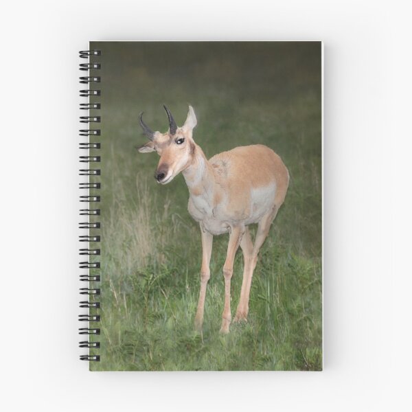 Item preview, Pronghorn designed and sold by Kathy Weaver.