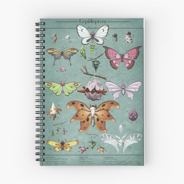 Item preview, Lepidoptera Biological Illustration designed and sold by Daniel Swain Creations.