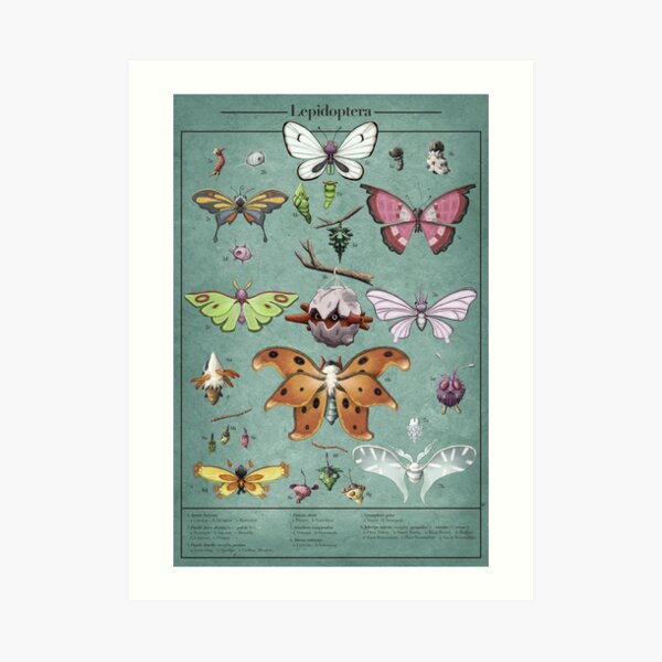 Art Print