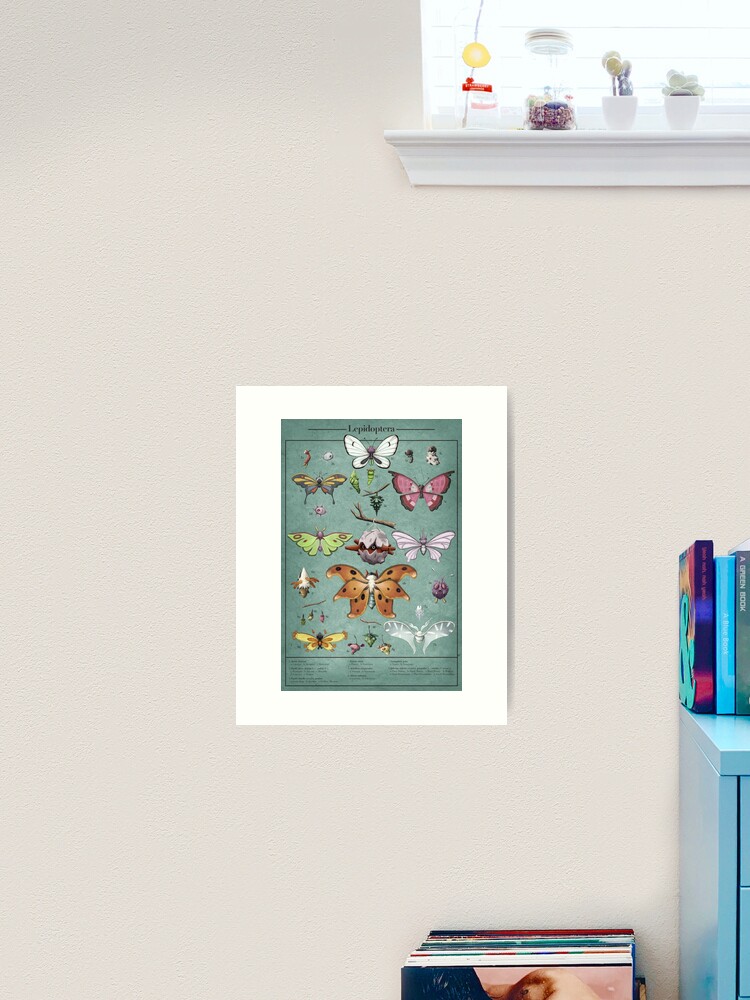 Thumbnail 1 of 3, Art Print, Lepidoptera Biological Illustration designed and sold by Swainathan.