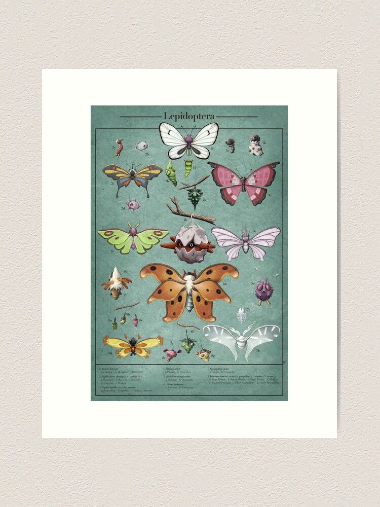 Thumbnail 2 of 3, Art Print, Lepidoptera Biological Illustration designed and sold by Swainathan.