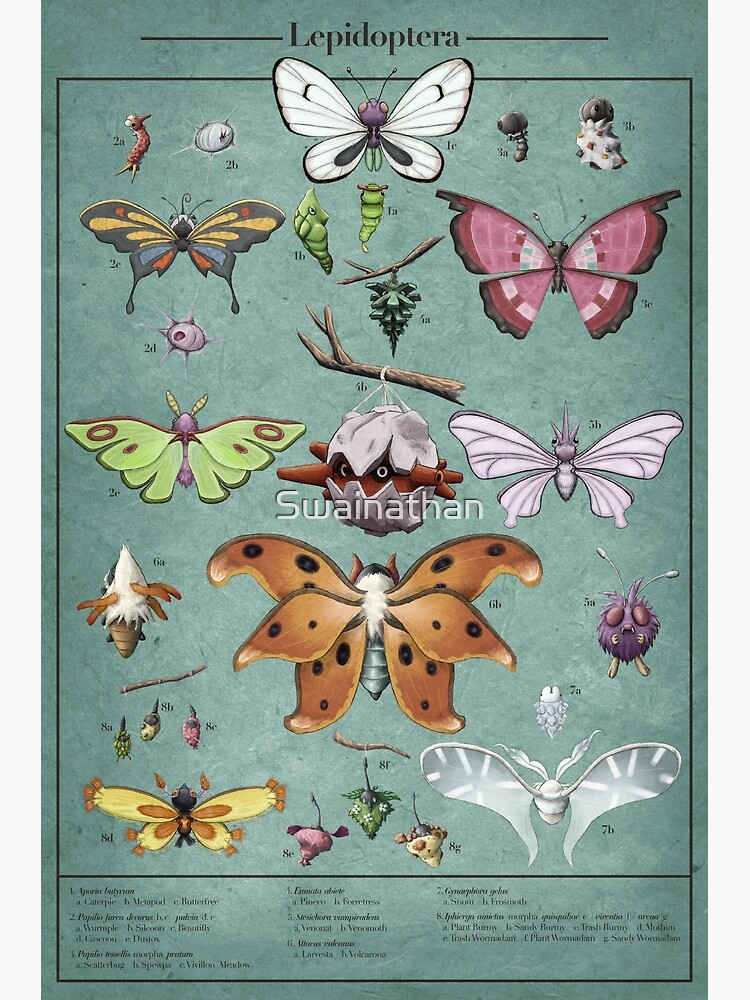 Thumbnail 3 of 3, Art Print, Lepidoptera Biological Illustration designed and sold by Swainathan.
