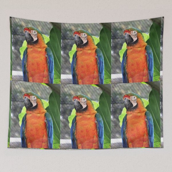 Item preview, PRETTY POLLY, PRETTY POLLY .. designed and sold by TAMalloyPhoto.