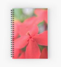 It's all in the details! Spiral Notebook