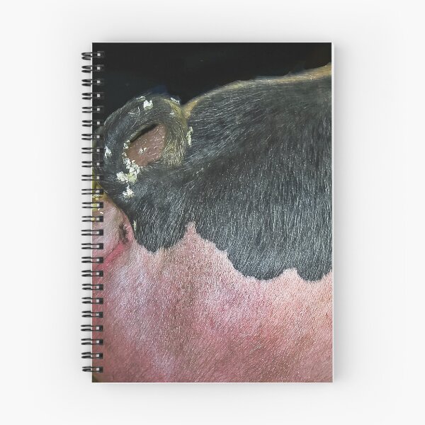 Item preview, The End of a Short Tale!  designed and sold by heatherfriedman.