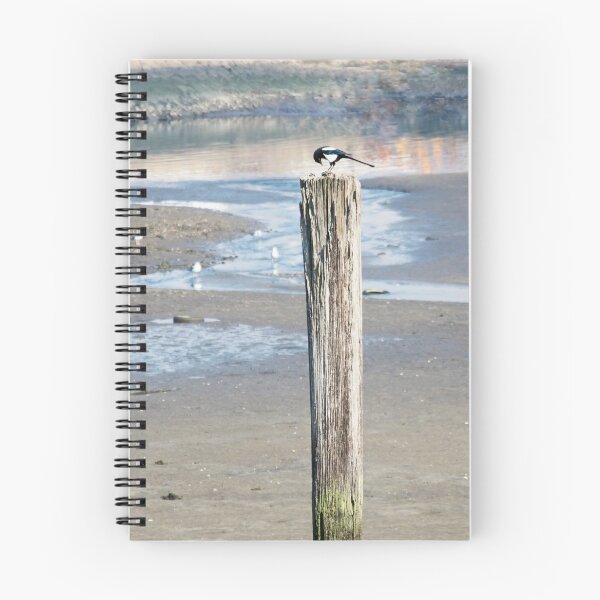 Item preview, blackand white bird designed and sold by TessAndre.