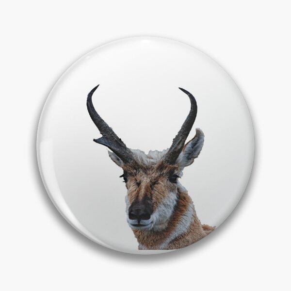 Item preview, American Pronghorn Buck designed and sold by Rodney55.
