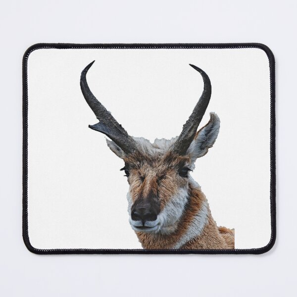 Item preview, American Pronghorn Buck designed and sold by Rodney55.