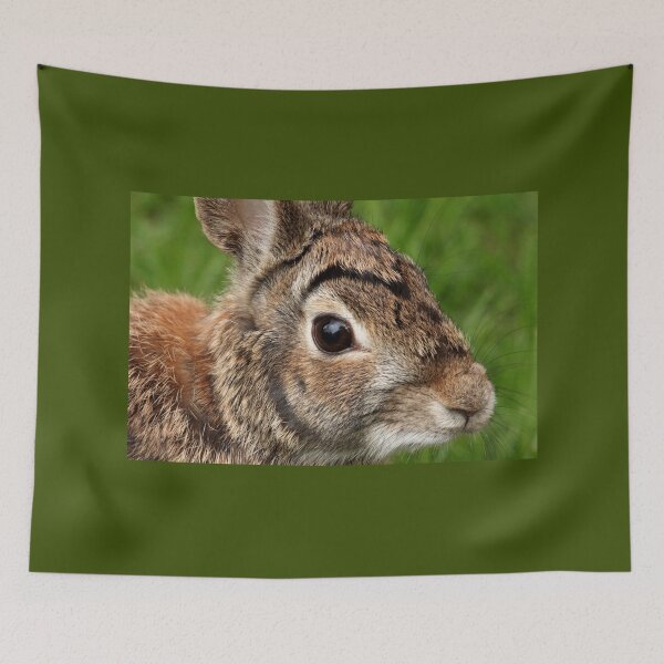 Item preview, Eastern Cottontail Portrait designed and sold by Debbie Oppermann.