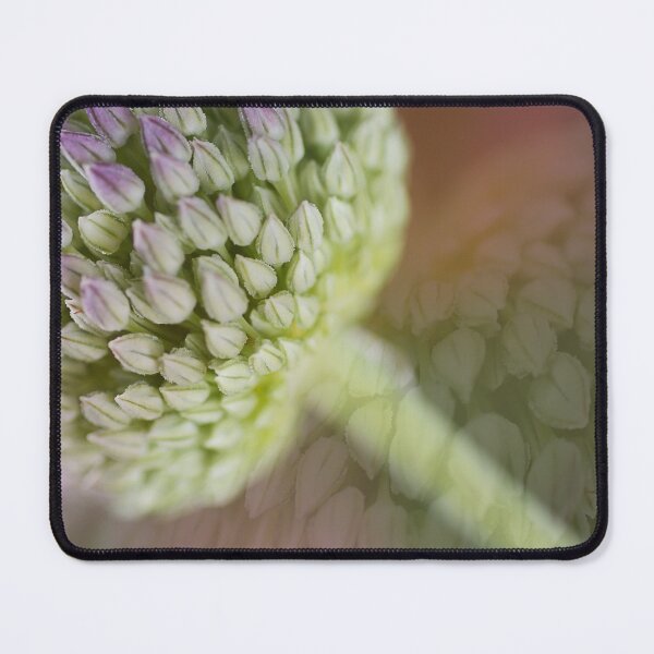Item preview, Garlic Flower Soft Memory designed and sold by Joy Watson - Natural Light Photography .