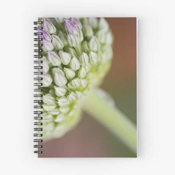 Item preview, Garlic Edible Bulb designed and sold by Joy Watson - Natural Light Photography .