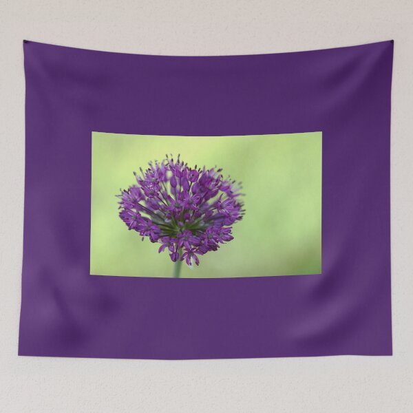 Item preview, Star Clusters - Allium designed and sold by Debbie Oppermann.