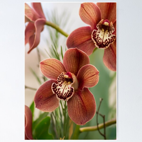 Item preview, Orchid J5 designed and sold by Elysian Photography.