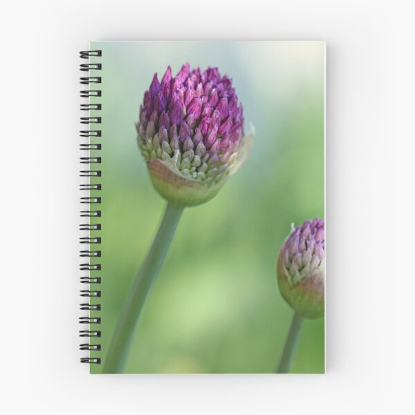 Item preview, Shadowed Allium Buds - Purple And Green designed and sold by Debbie Oppermann.