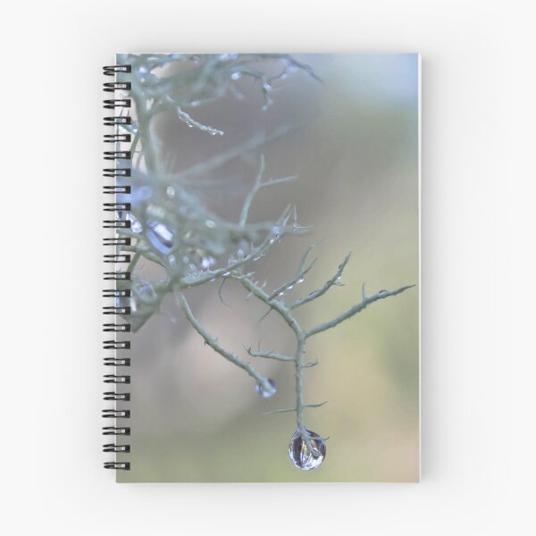 Item preview, Single Drop designed and sold by Elysian Photography.