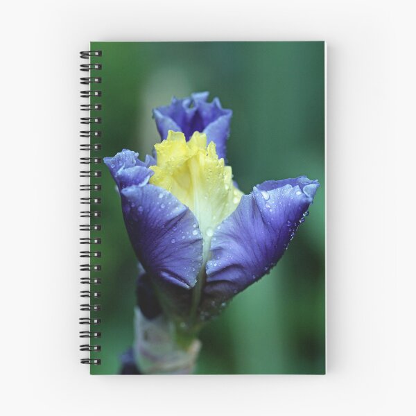 Item preview, Stunning Iris Bud designed and sold by Debbie Oppermann.
