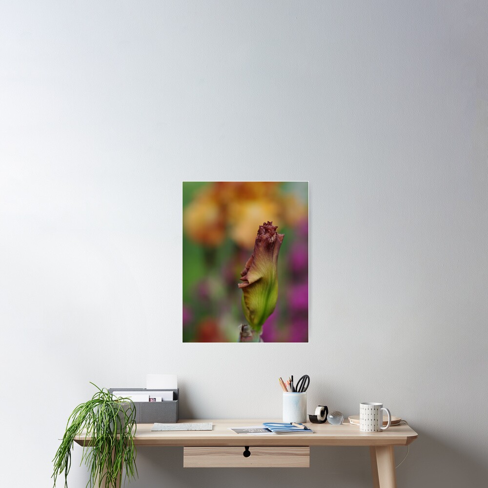 Item preview, Poster designed and sold by Debbie Oppermann.