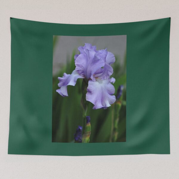 Item preview, Sweet Blue Orchid Iris designed and sold by Debbie Oppermann.
