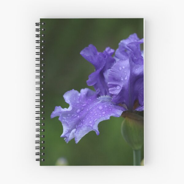 Item preview, Solid Purple German Iris designed and sold by Debbie Oppermann.