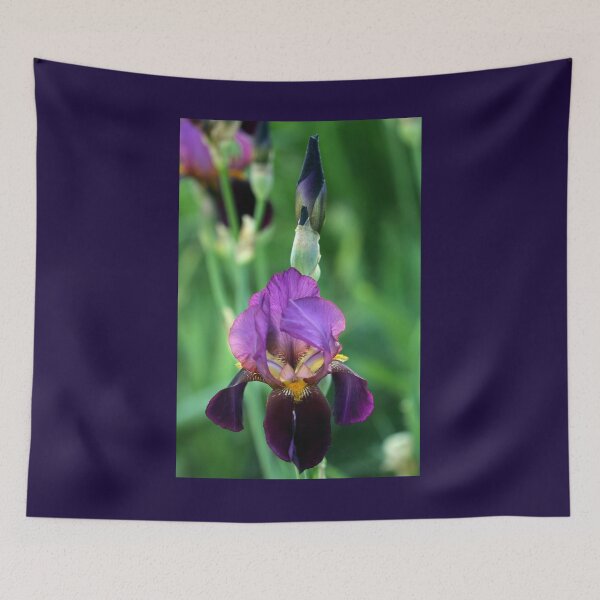 Item preview, Dance With Me designed and sold by Debbie Oppermann.