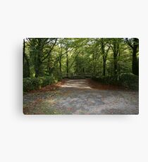 Coole Park wood Canvas Print