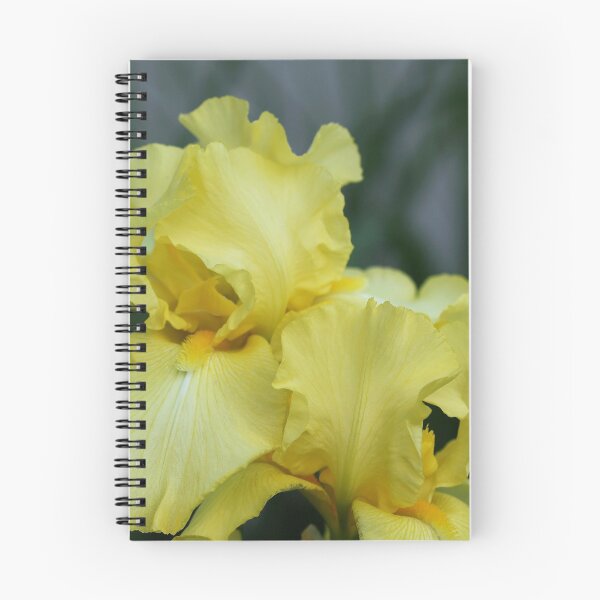 Item preview, Vibrant Yellow Iris designed and sold by Debbie Oppermann.