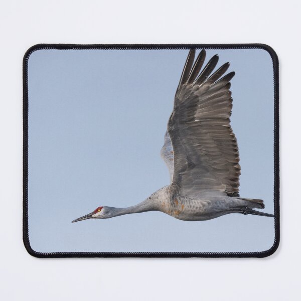 Item preview, Sandhill crane designed and sold by Puttaswamy Ravishankar.